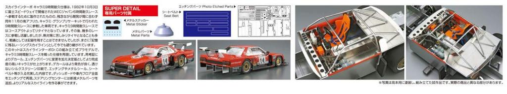Aoshima Bunka Kyozaisha The Model Car Series SP Nissan R30 Skyline Turbo Kyalami 9 Hour Endurance Specification 1982 SD Plastic Model 1/24