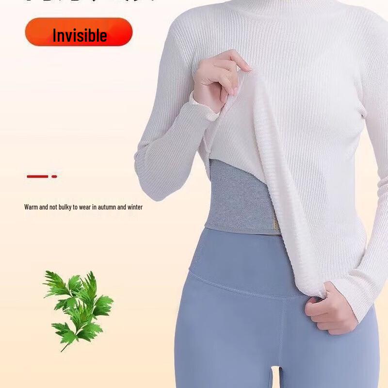 Longchan Wormwood Heated Waist Support Belt
