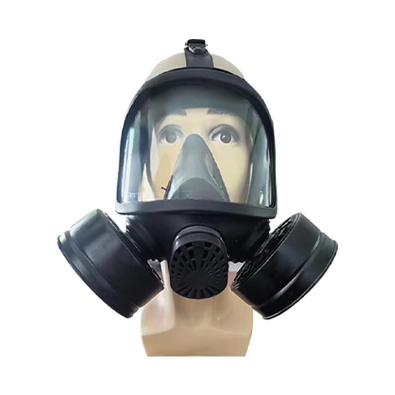 Longchan MF15A Full Face Gas Mask with Filter