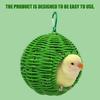 Portable Plastic developed Bird House Creating Warm Space For Various Small Bird Breeds