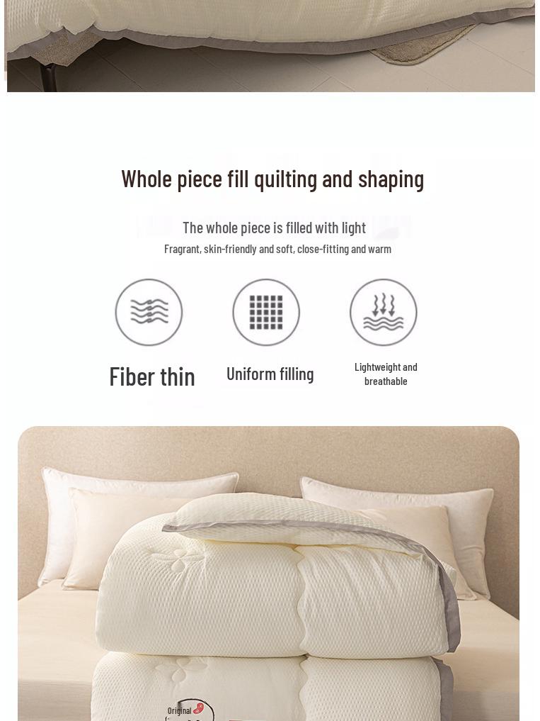 Thickened Warm Cotton-Soy Quilt for All Seasons - Single & Double Dorm Bedding