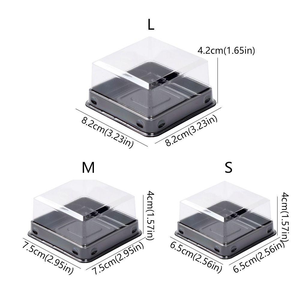 50pcs Transparent Muffin Container Box Square Shape Cookies Sealed Storage Box  Wedding