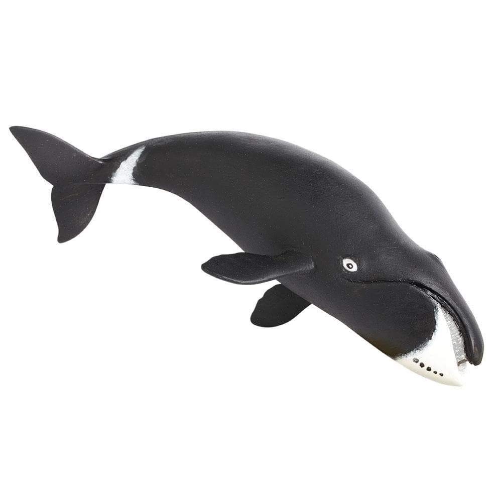 Safari Bowhead Whale Figure 205529