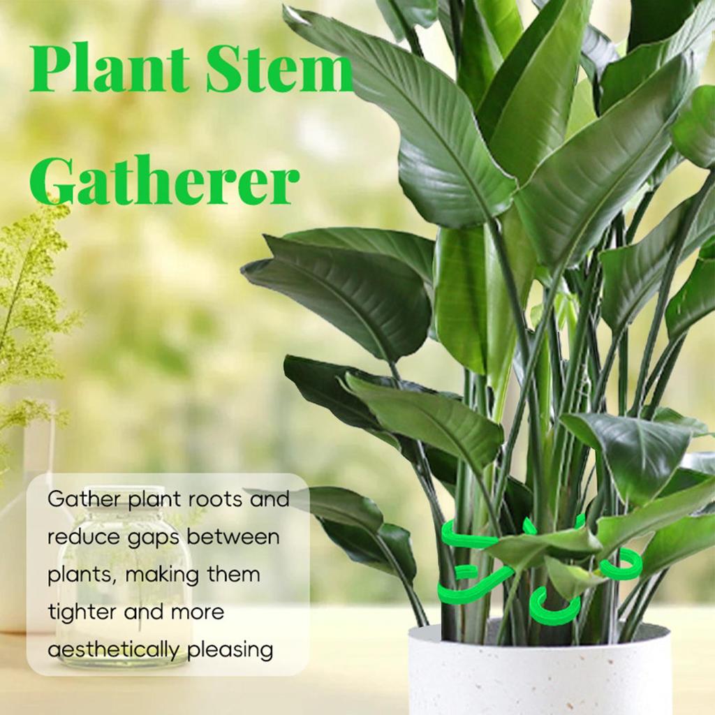4pcs Plant Stem Support Clips Flower Stem Gathering Frame Support Fixer Anti-Toppling Hydroponic Branch Fixing Tools