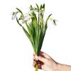 5 Stück/Bund Seidenblütenblätter Simulation Blumenstrauß Simulation Narzissenblüte Heimdekoration
