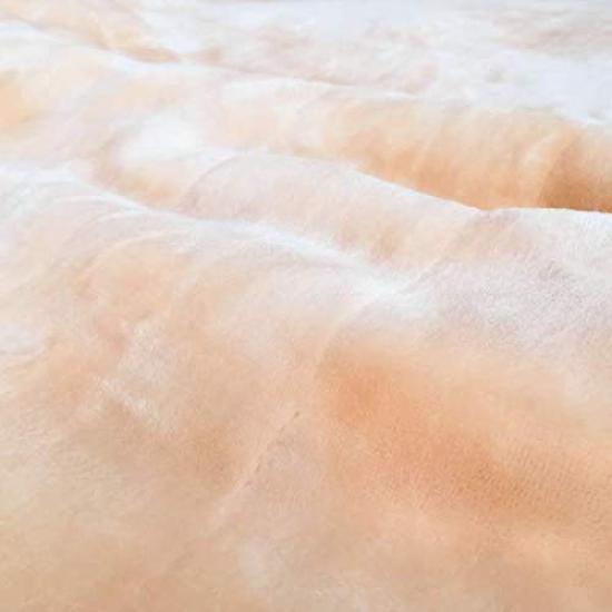 Morita Hot Sleeping Mat Hot Electric Floor Sofa for Approximately 1 Tatami Fully (MORITA) (Heated Carpet, Mat, Mat, Pad, Cover) Mat, Washable, Beige,
