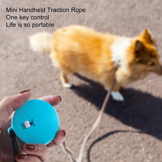 Retractable Dog Leash 2m Portable Easy Carry Automatic Extending Rabbit Hamsters Leash