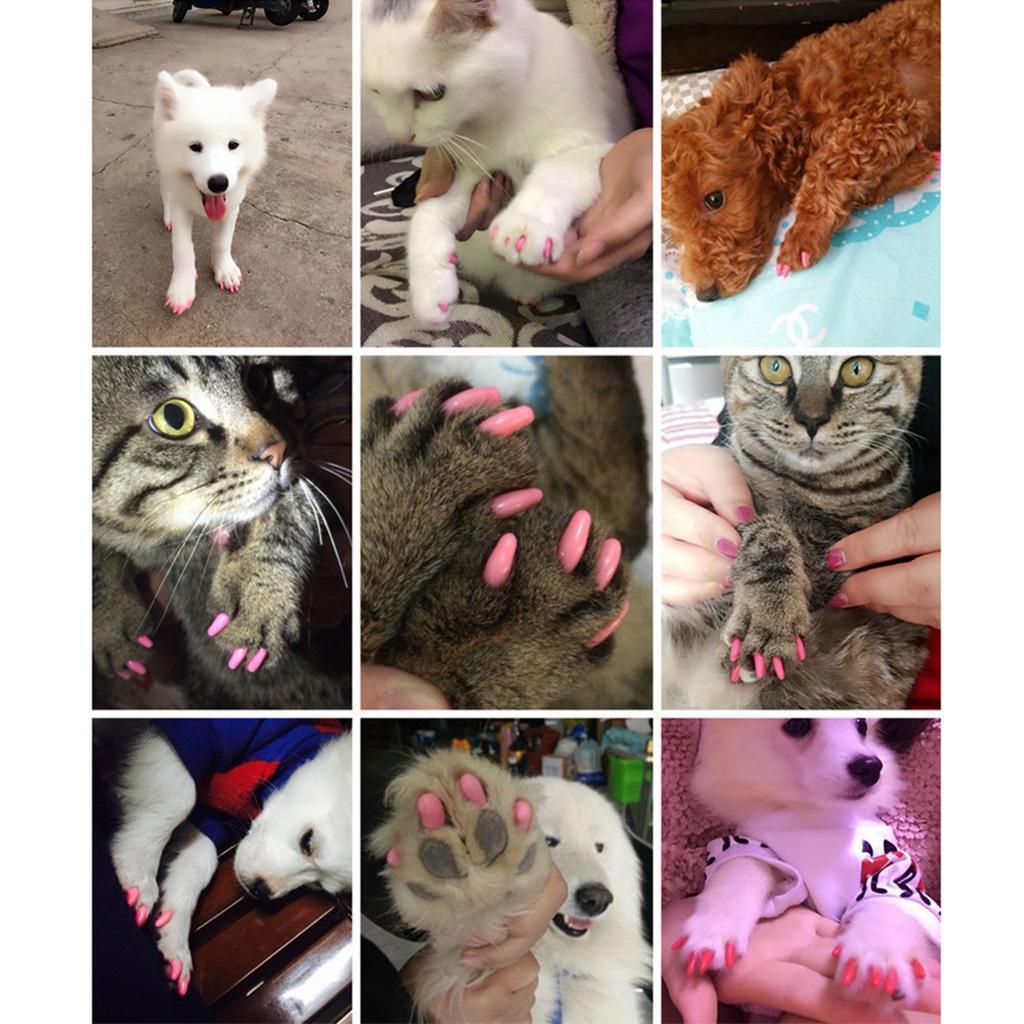 Anti Scratch Nail Caps for Cat Claws Soft Plastic Claw Tips Cover Kitten Grooming Sleeve for Pet Protection