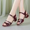 New Coarse Heel Women's Sandals Mid Heel Summer Anti Slip High Heel Sandals