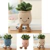 Lifelike Succulent Plants Plush Stuffed Toy Featuring Super Soft Fabric Ideal For Kids