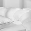 Dongfang Shiguang Ultra-Fine Fiber All-Season Duvet