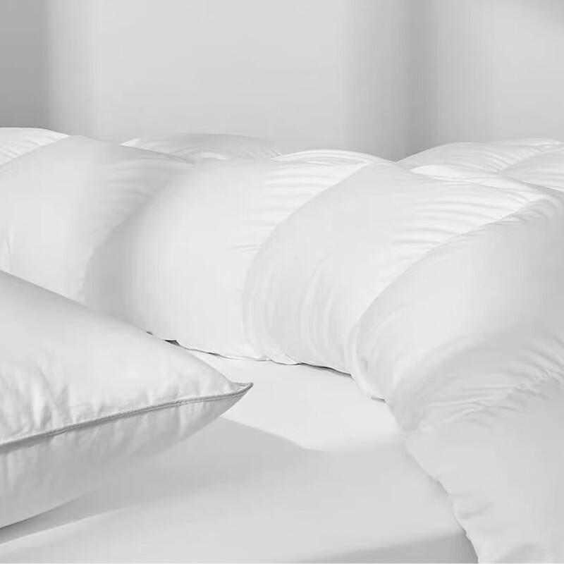 Dongfang Shiguang Ultra-Fine Fiber All-Season Duvet