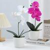 Soft Rubber Simulation Butterfly Orchid Bonsai 4-Heads Phalaenopsis Bonsai  Home Supply