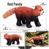 Realistic Animal Heart Model Toy: Lemur, Raccoon, Orangutan, Baboon