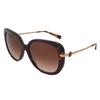 Coach Sunglasses Hc8320 512074 55 17 140 Non Polarized Brown