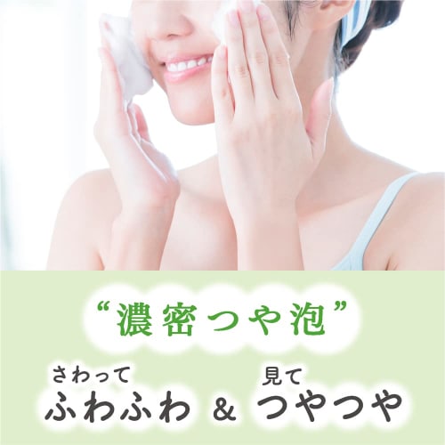 [Large Capacity] Kao Fiesta Face Wash/Hand Wash Foam 2L Commercial Use Fresh Floral Scent Kao Professional Services