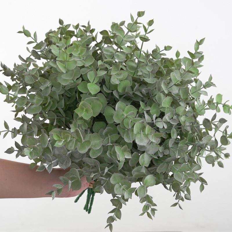 Eucalyptus Plant Globulus Foliage For Home Enhancement Photography Prop