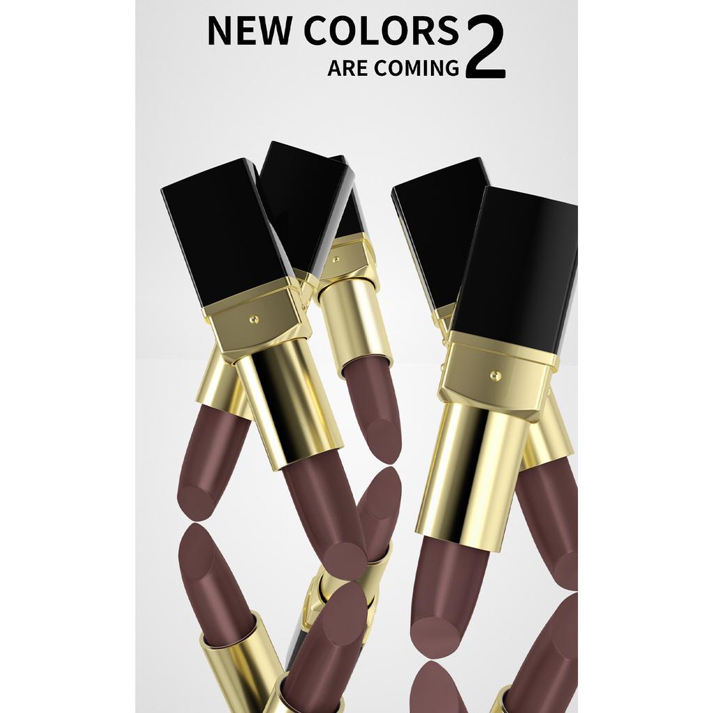 Highly Pigmented Women's Lipstick, Waterproof & Smudge Proof, All-Day Comfortable Moisturizing Wear, Ideal for Daily Use and Special Occasions