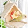 Bird Perch Feeder Molar Stand for Parrots Conure Supplies Budgies Grinding Scratchers for Small Medium Parrots Toy
