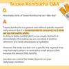 Teazen Kombucha Citron 5g X 10 Sticks Per Box (10 Options)