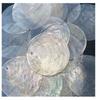 Mica Flakes Seashell Wind Chimes with Mother-of-Pearl for DIY Decorative Lighting & Mirrors, Wedding Decor, and Painting Accessories.