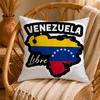 Artistic AAesthetic Art VenezuelaS Cushion Cover Ultra Soft Pillowcase CloudLike Comfort Fabric with Concealed Zipper