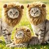 Pet Lion Wig Head Cover with Cute Rabbit Ears Funny Halloween Cosplay Hat for Cats & Dogs Kitten Puppy Party Dress Up Accessory