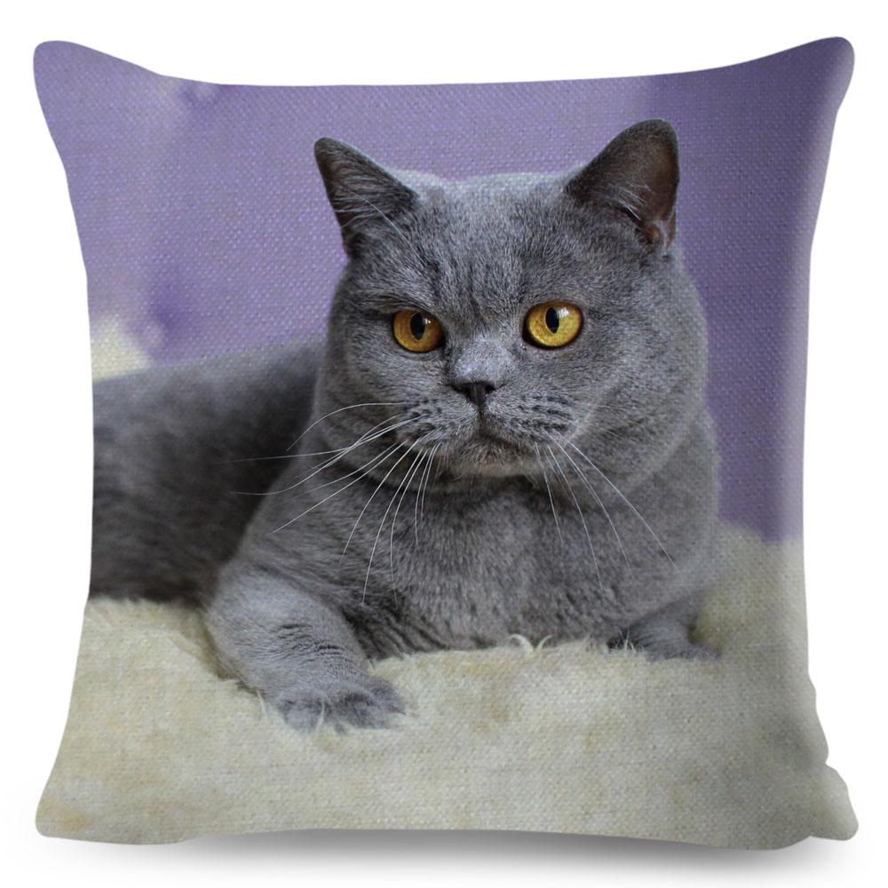 Housse de coussin British Shorthair bleu russe, taie d'oreiller en Polyester, décoration de chat mignon, Animal de compagnie, pour canapé, maison, voiture