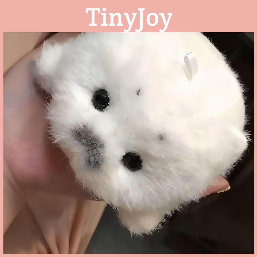 Plüschtier Meeresleben Niedlicher Robbenbaby Plüschtier mit Schlüsselanhänger für Kinder und Sammler