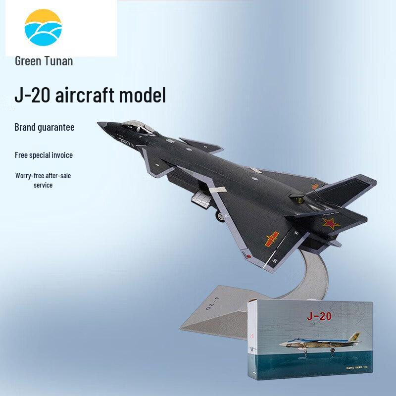 J-20 Stealth Fighter Alloy Model