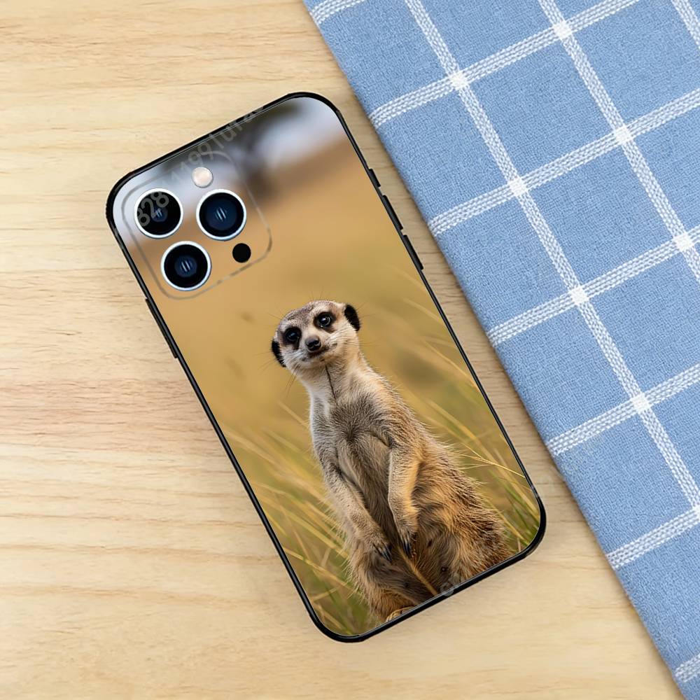 Funny Standing Meerkats Phone Case for iPhone 17 16 16E 15 14 Pro Plus Air 13 12 11 Max Mini X XR XS TPU Bumper