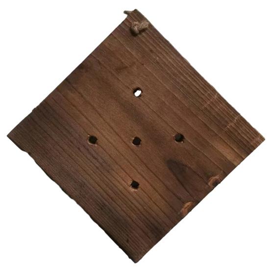 Staghorn Fern Hanger Board Fern Mounting Board F