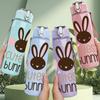 1PC Cutest Bunny Rabbit Print 750ml Color Plastic Sports Water Bottle Leakproof Flip Straw Lid Suitable for Sports Office Home Use