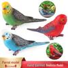 Solid Animal Model: Blue Cockatoo & Budgerigar Parrot Toy for Early Education