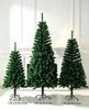 PVC Encrypted Christmas Tree with Pointed Top for Mall and Hotel Decorations