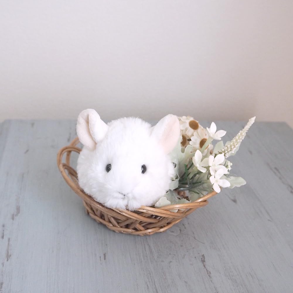 SunLemon Baby Animals Small Chinchilla WH 8 x 20 x 7 cm Plush Toy Baby Animal Cute Fluffy Animal Stuffed Animal Photoshoot P-1233
