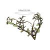 Nature Antler Vine Leaf Headband Forehead Headpiece Frontlet Hairhoop For Festival Celebration And Party Gathering
