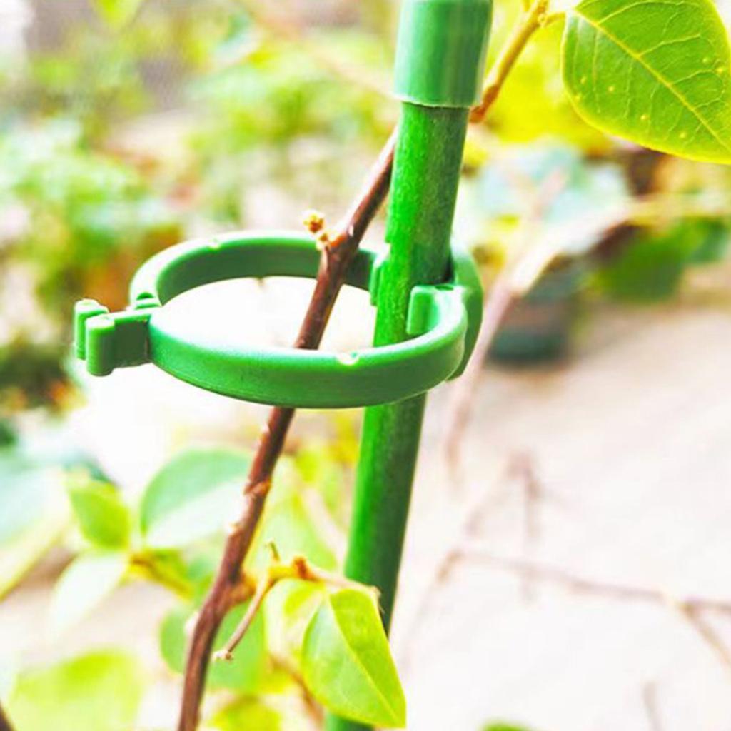 Plant Support Stakes Adjustable Plastic Plant Cage Garden Plant Stakes Plant