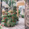 105/145cm Garden Trellis Umbrella Shaped Rose Climbing Vine Frame Stand Multifunctional Iron Wire Lotus Climbing Vine Stand