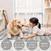 HAOCOO Washable Rug, 120x160cm, Rabbit Fur Look, Thick, Fluffy Shag, Non-Slip, Soundproof, Antibacterial, and Odor-Resistant, Suitable for Heated Carp