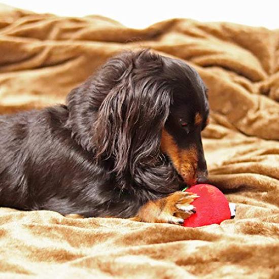 iDog Apple Ball with Bell iDog Dog Toy