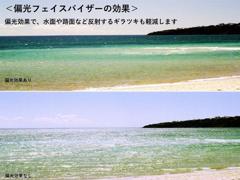 Polarized Face Visor (brown, Standard Type)