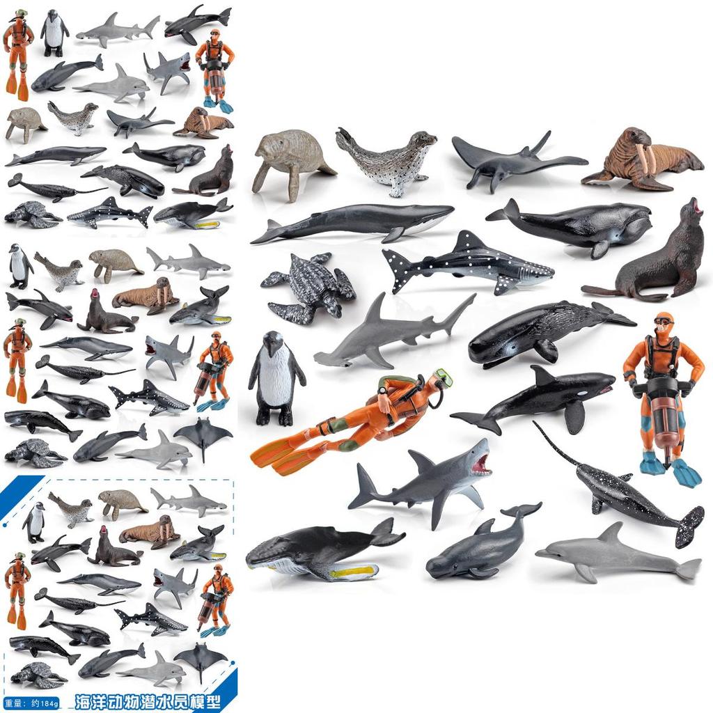 Oceanic Creature Pvc Figurines Collection With Static Marine Animals For Aquarium Decor