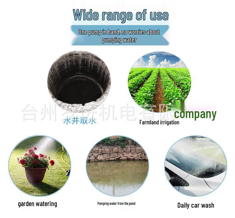 Submersible Pump for Electric Vehicles & Agricultural Irrigation - 12V/24V/48V/60V/72V