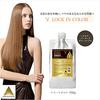 phiten Lock in Color Treatment b 700g 0916HTR9100