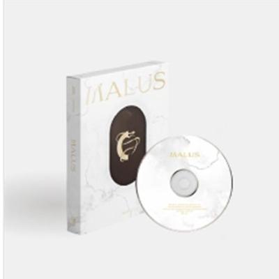 Χόμπι και δημιουργικότητα – Μουσική