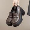 French Platform High-heeled Single Shoes One-pedal Loafers Women's Spring 2025 New British Style Retro Small Leather Shoes