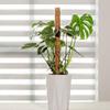 Detachable Moss Pole Plants Climbing Support Extension Palm Vines Stick Plants Creepers to Grow Upwards Gardening Tools