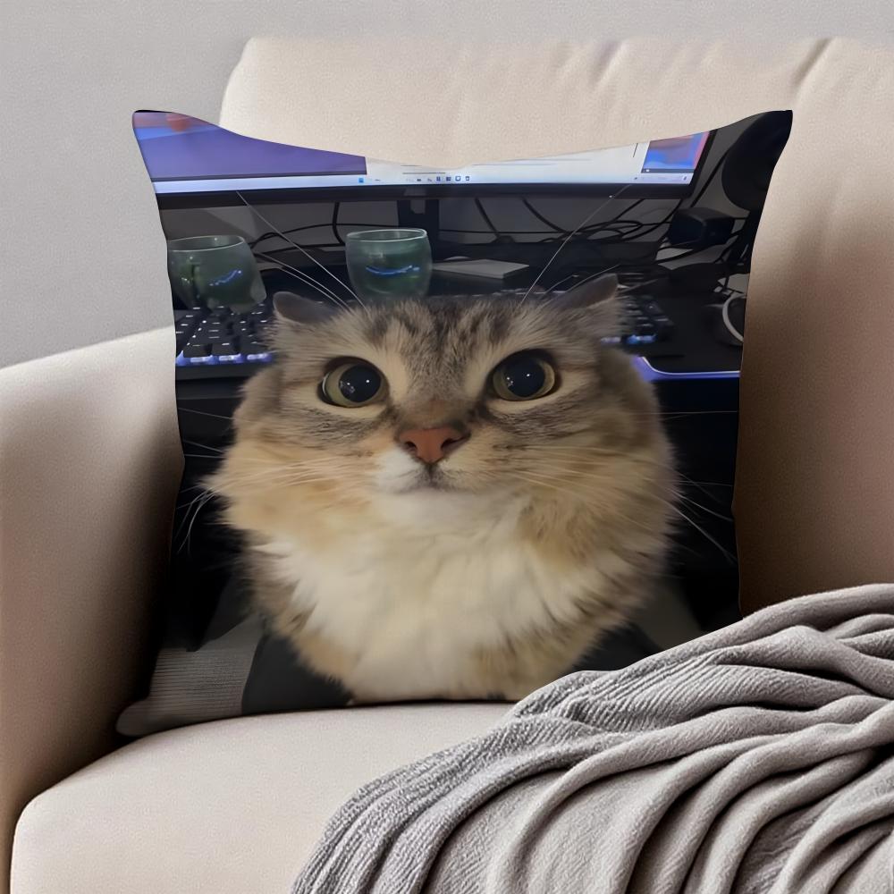 Meme Funny Pet Cat Funny Memes Cushion Cover Pillowcase Antidustmite Invisible Zipper Short Plush Sofa Cushion