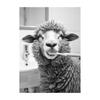 Black White Funny Bathroom Brushing Teeth Poster Vintage Style Animal Canvas Painting Print Wall Art Picture for Home Decoration